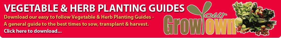 Veg & Herb Planting Guides